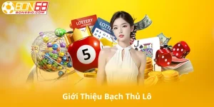 Giới Thiệu Bạch Thủ Lô Là Gì