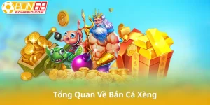 Tổng Quan Về Bắn Cá Xèng