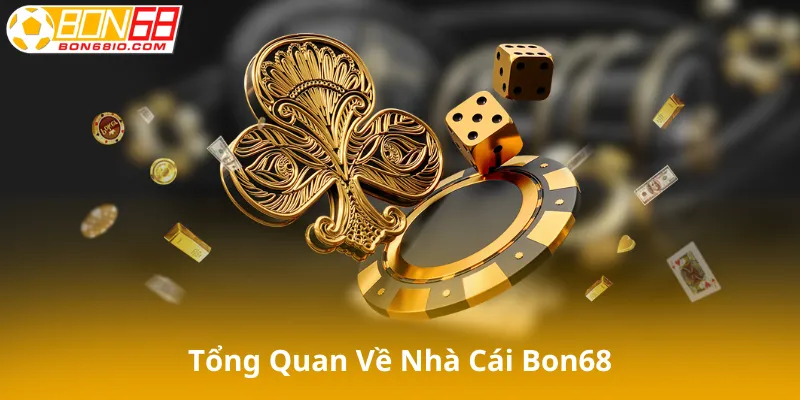 Tổng Quan Về Bon68