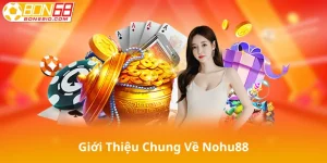 Giới Thiệu Chung Về Nohu88