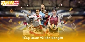 Giới Thiệu Tổng Quan Về Kèo Bong88