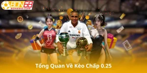 Giới Thiệu Tổng Quan Về Kèo Chấp 0.25