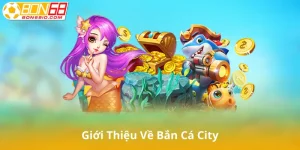 Giới Thiệu Chung Về Bắn Cá City