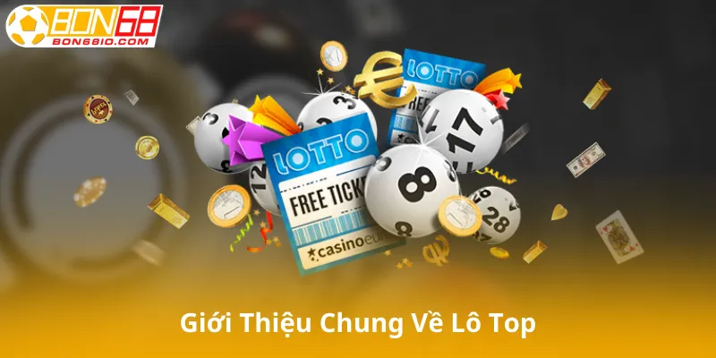 Giới Thiệu Chung Về Lô Top